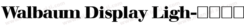 Walbaum Display Ligh字体转换